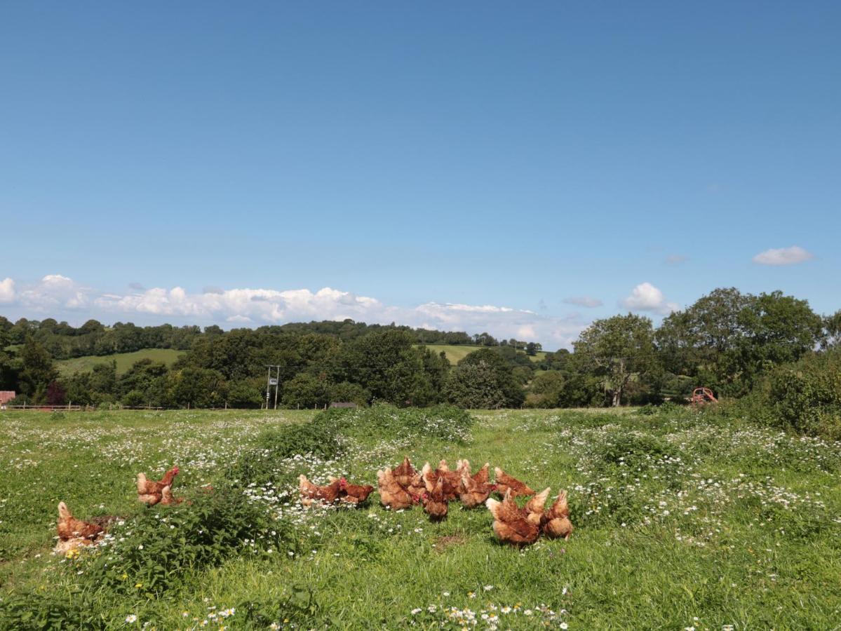 Appartamento The Cider Shed Winscombe Esterno foto